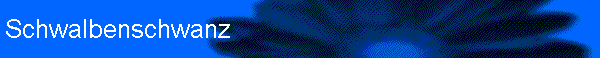 Schwalbenschwanz