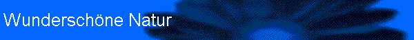 Wundersch�ne Natur