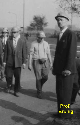 Prof.       
Brnig